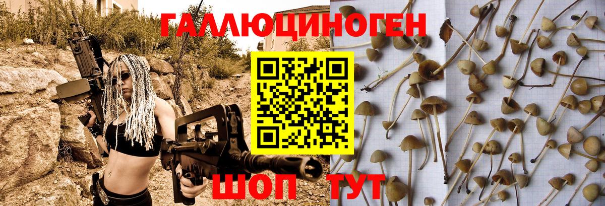 Конаково  Галлюциногенные грибы Psilocybe  Вход с VPN 